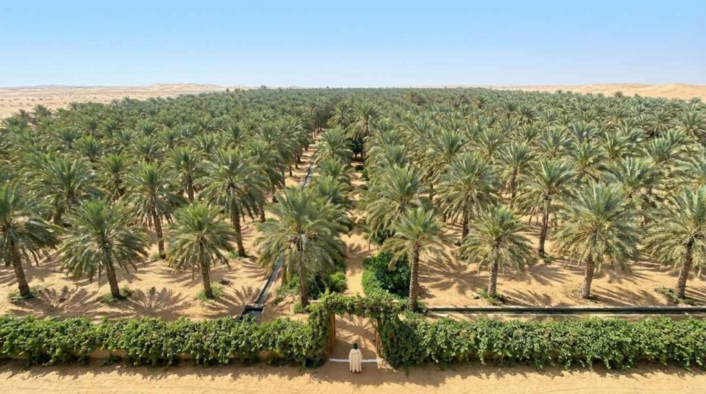 Act Three: The Prophet's (PBUH) Response, GARDEN IN JANNAH